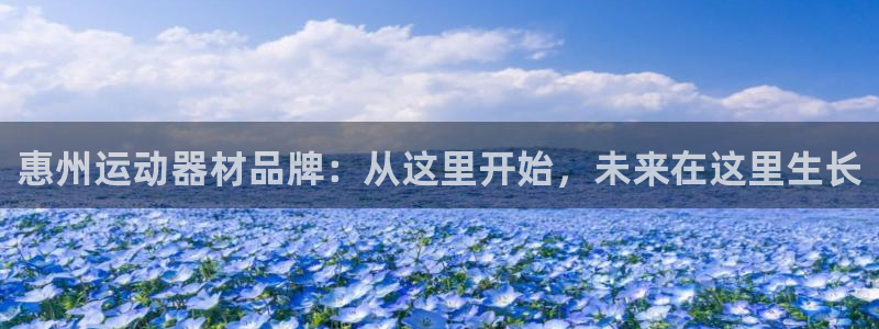 fb体育娱乐首页官网下载:惠州运动器材品牌:从这里开始,未来