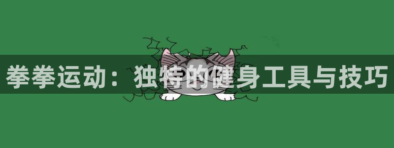 fb体育新能源:拳拳运动:独特的健身工具与技巧